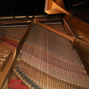 IMG_20170801_204928[1].jpg
