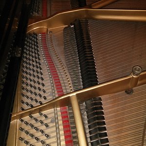 IMG_20170801_204847[1].jpg