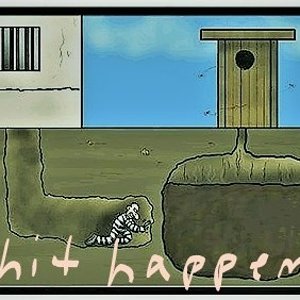 shit.jpg
