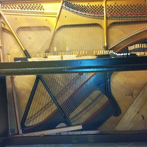 IMG_20171119_180134.jpg