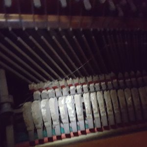 20171207_152345.jpg