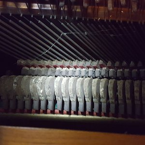 20171207_152248.jpg