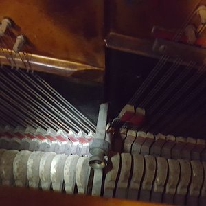 20171207_152310.jpg