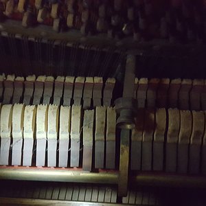 20171207_152306.jpg