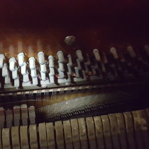 20171207_152301.jpg