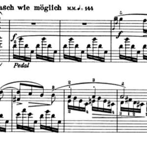 schumann2.png