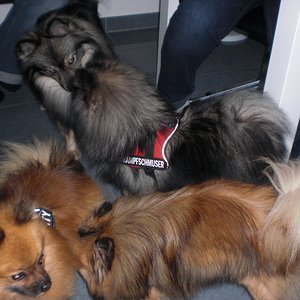 2010-06-17 05.41.06.jpg