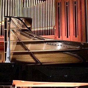 Barenboim3.jpg