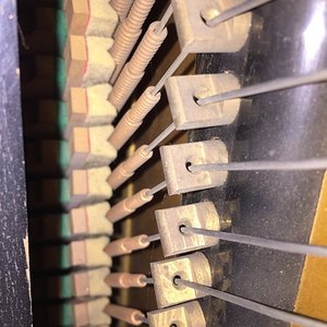 a7f70d56-fb86-47ba-a4fb-70b558dc1c2d.jpg