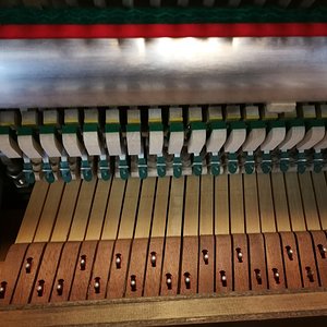 IMG_20180202_161834.jpg
