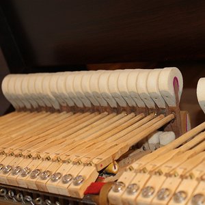 IMG_8266.JPG