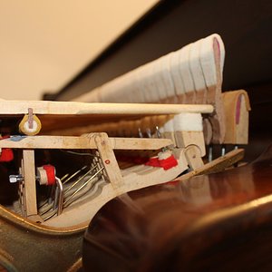 IMG_8268.JPG