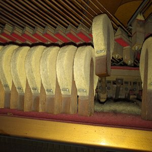 IMG_20180217_094758.jpg