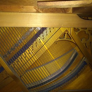 IMG_20180217_094846.jpg