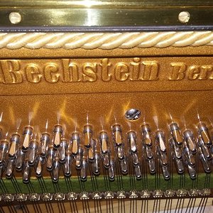 Bechstein.jpg