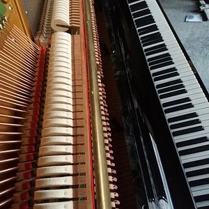 Bechstein4.JPG