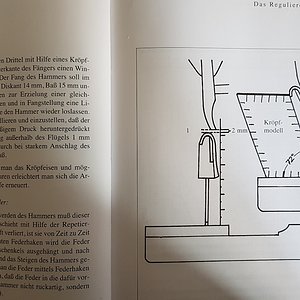 20180316_141025.jpg