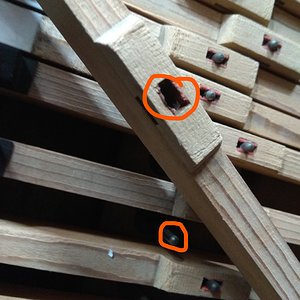 InkedIMG_20180403_123921_LI.jpg