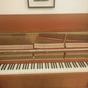 1523028114569-1921055891.jpg