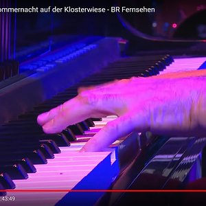 #Piano von Jo Barnikel Bild 06 Detail 3 (Pianist von Konstantin Wecker).jpg