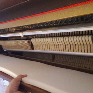 20180617_195924.jpg