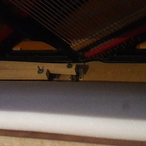20180617_200001.jpg