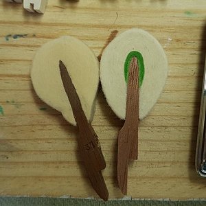 20180613_141146.jpg