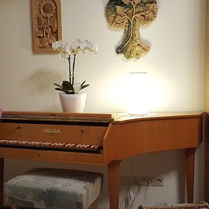 20180620_215535.jpg