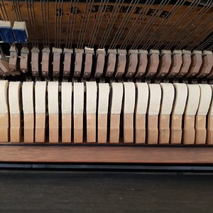20180714_134841.jpg