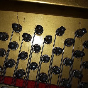 20180905_183209.jpg