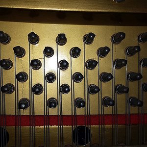 20180905_183236.jpg
