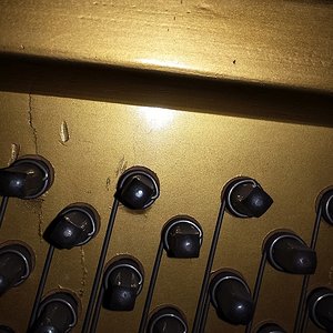 20180905_183311.jpg