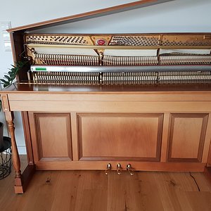 20180928_172258.jpg