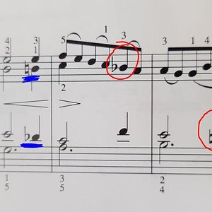 LvB119_1.JPG