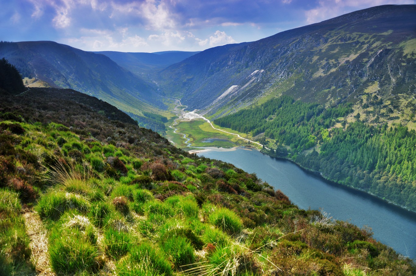 11 wicklow mountains.jpg