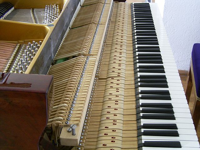 190-pat-tasten.jpg