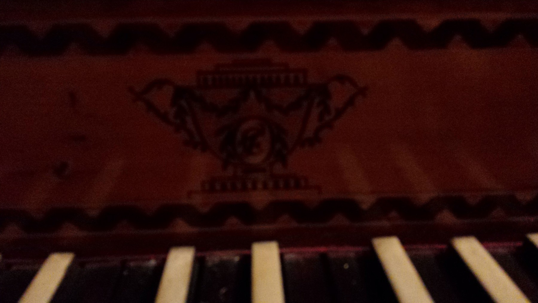 2015-02-28 19.19.09.jpg