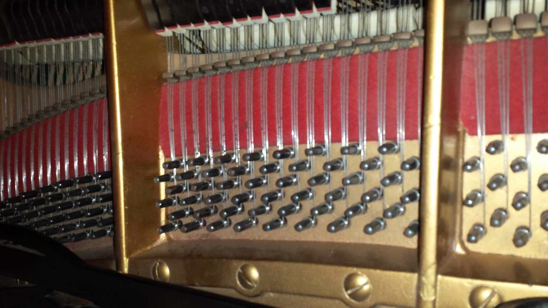 20150725_110200.jpg