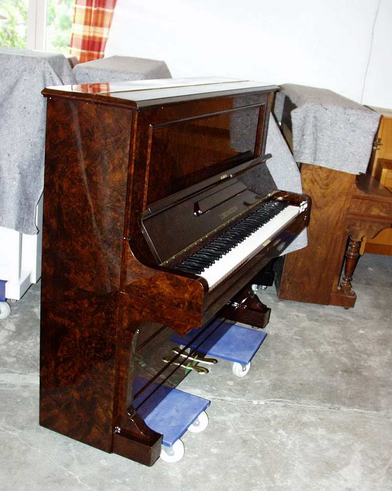 Bechstein 10 Wurzelnuss 1.jpg