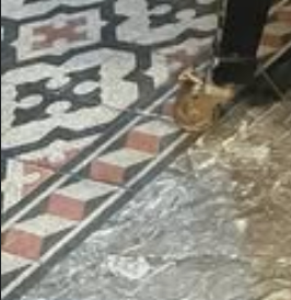 Bildschirmfoto 2026-01-28 um 05.43.02.png