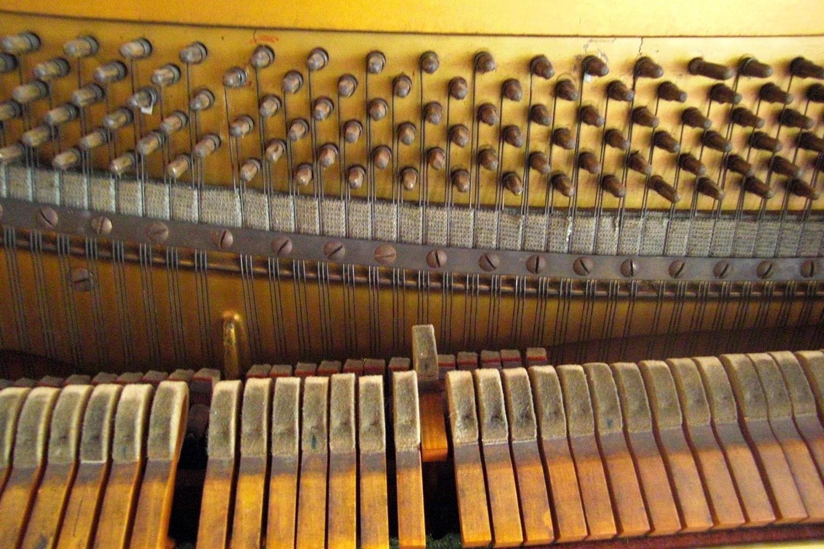 CIMG6403.jpg