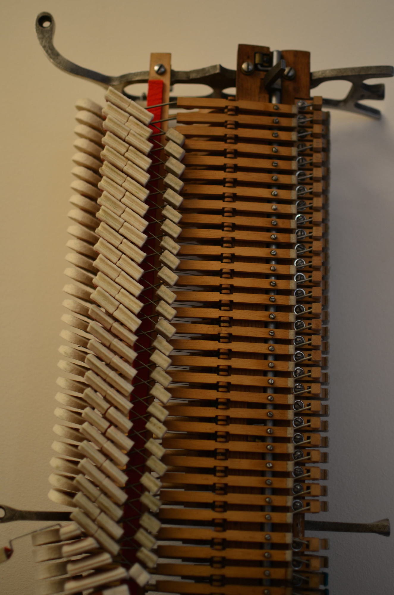 DSC_1011.JPG