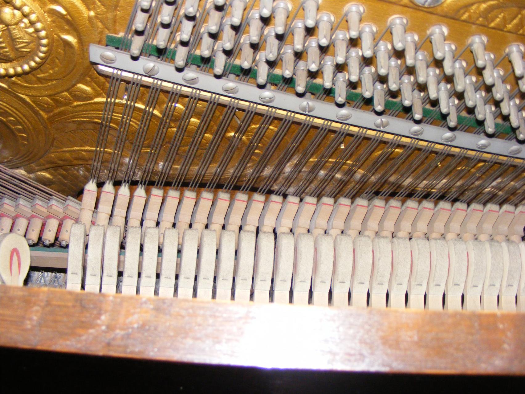DSCF7307.jpg