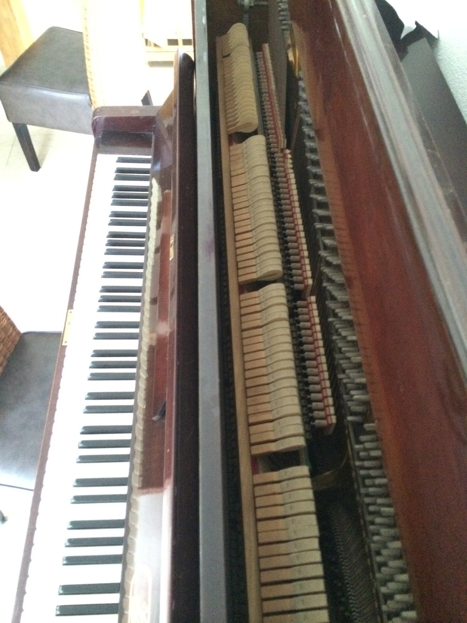 Foto 2.JPG