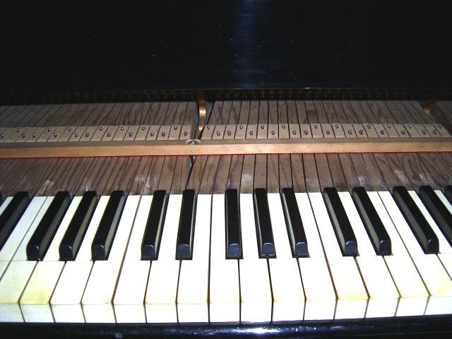 ibachhebel-200.jpg