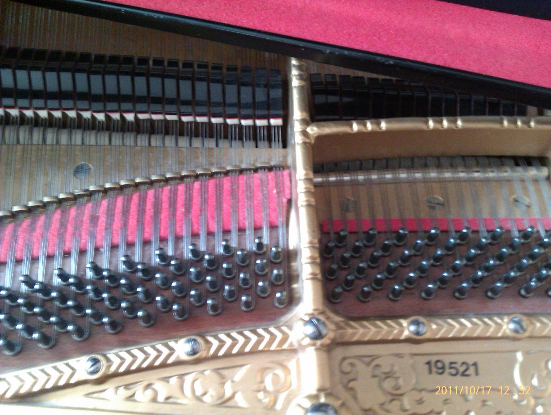 IMAG0565.jpg