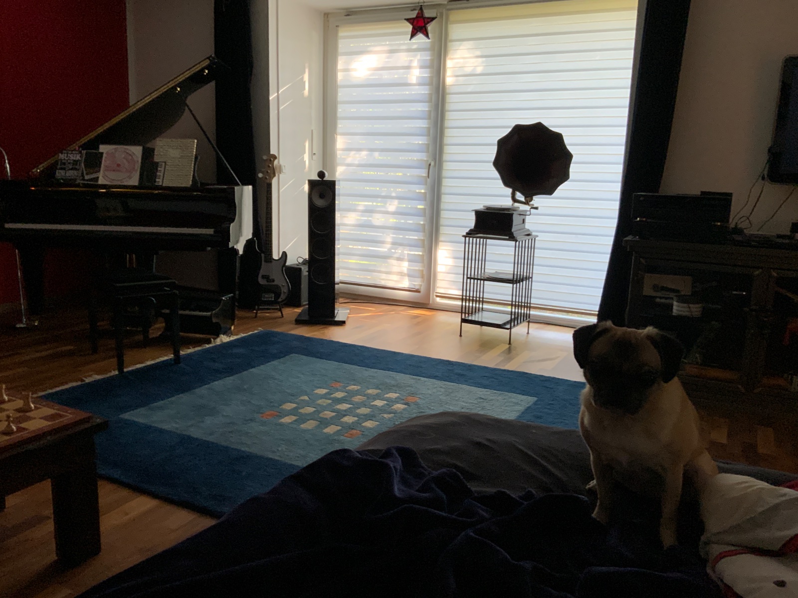 IMG_4924.jpeg