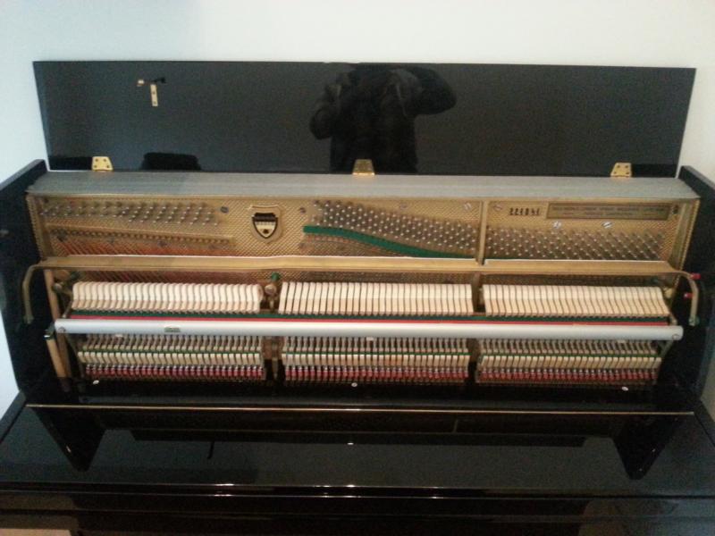 K800_20150106_145042.JPG
