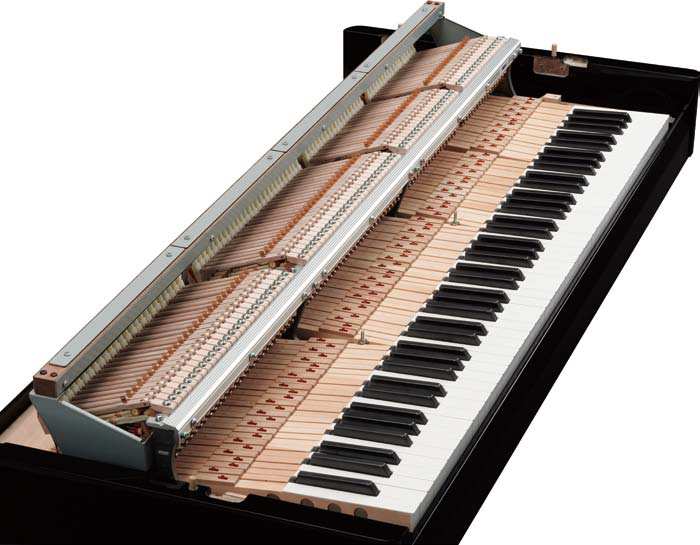 N1_tastatur.jpg