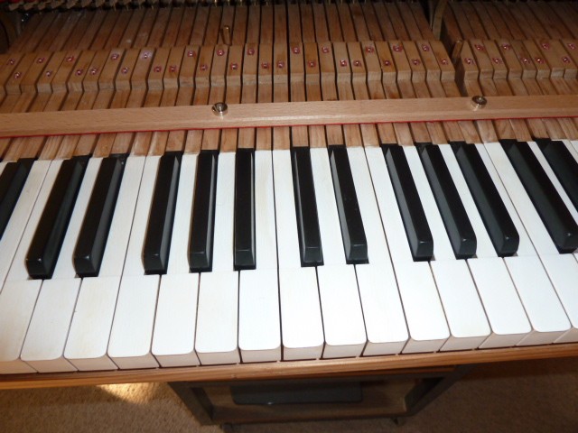 P1020541.JPG